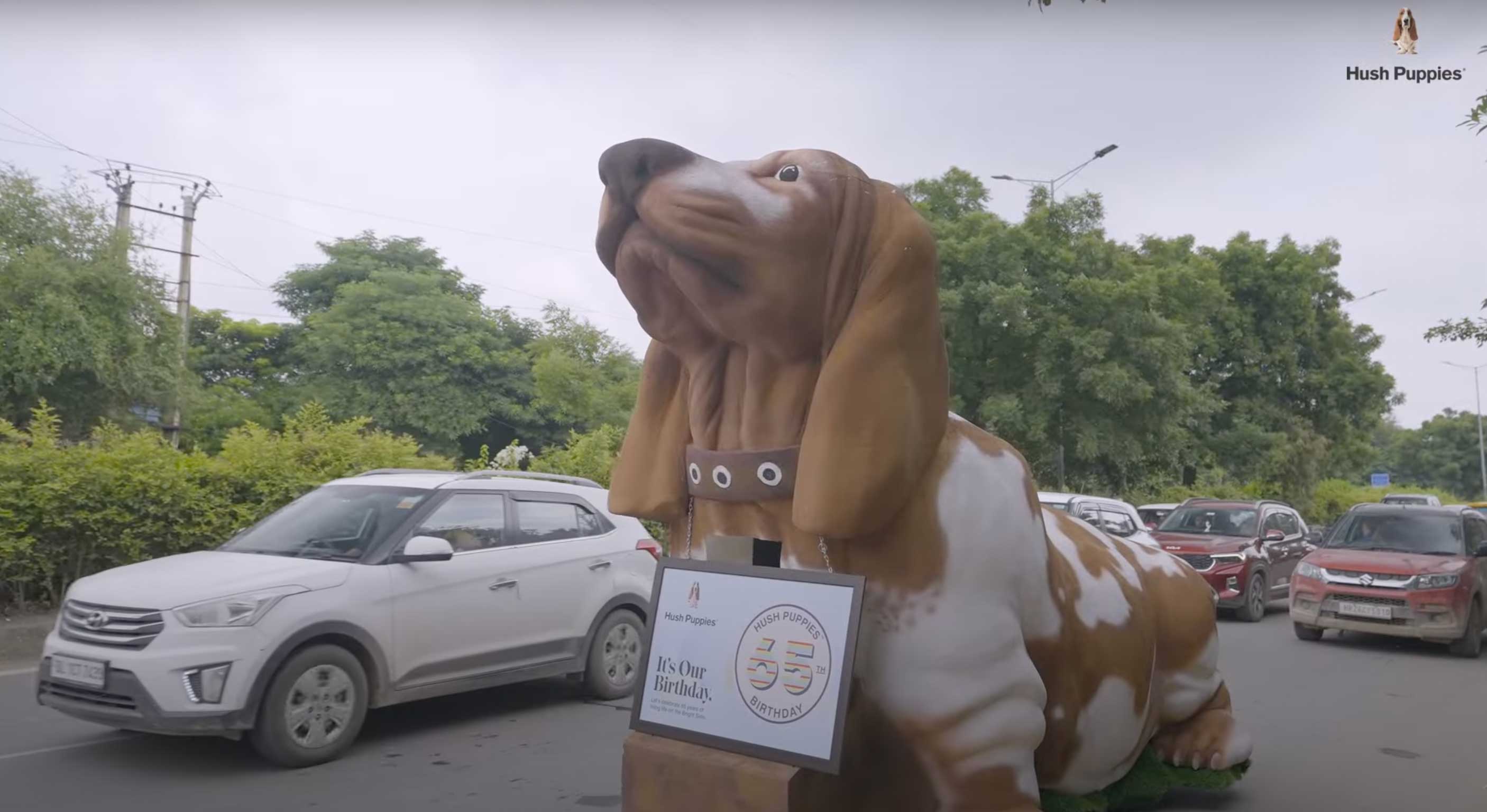 Hush Puppies Basset Hound roams the streets of Gurugram