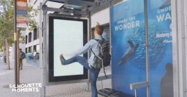 Interactive bus shelters in San Francisco act like virtual aquariums