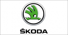 Zac Hollis appointed Director – Sales, Service & Marketing at Skoda Auto India
