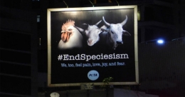 ‘Animals are no less’ communicates PETA India out & loud