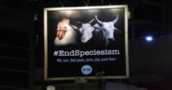 Difficult execution but impactful outcome: PETA India