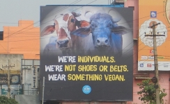 PETA India rolls out OOH campaign to promote veganism