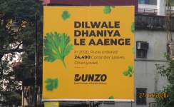 Pun and data mark Dunzo’s new campaign