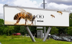 Ocean Outdoor creates city centre wildlife corridors across its OOH estate