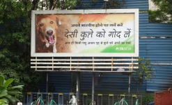 PETA makes a strong case for adoption of stray animals