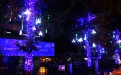 'Uninor lights up Lucknow's Ashok Marg for Diwali'