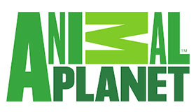 Animal Planet