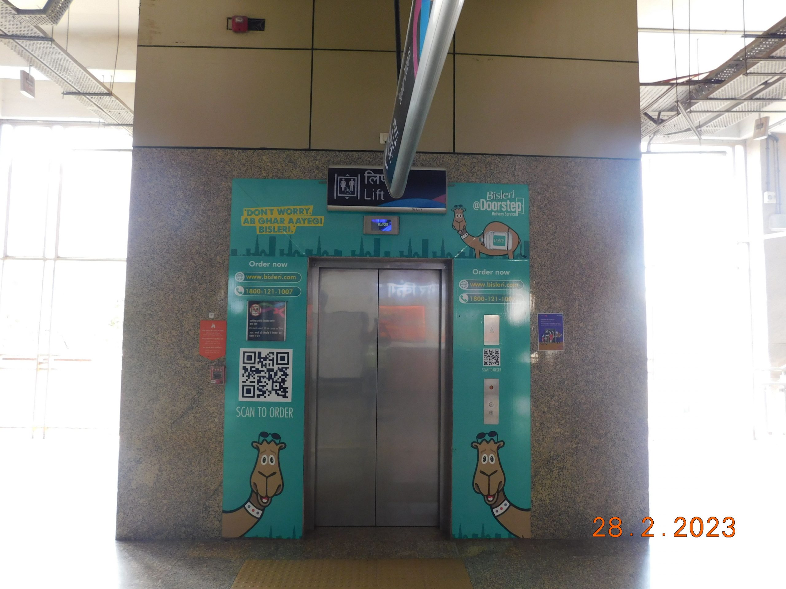 caricature of camels is attracting the attention of audiences 