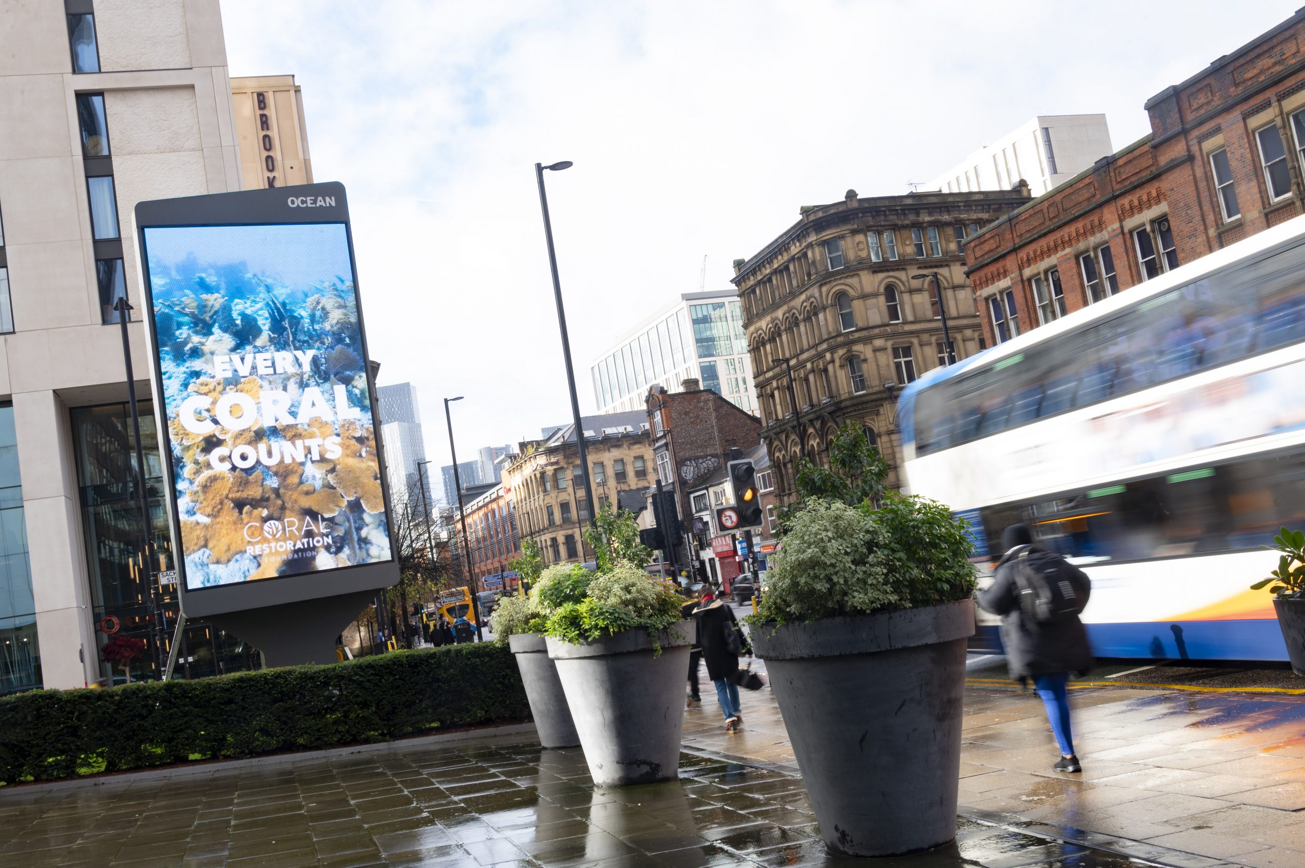 Coral Restoration Foundation Manchester