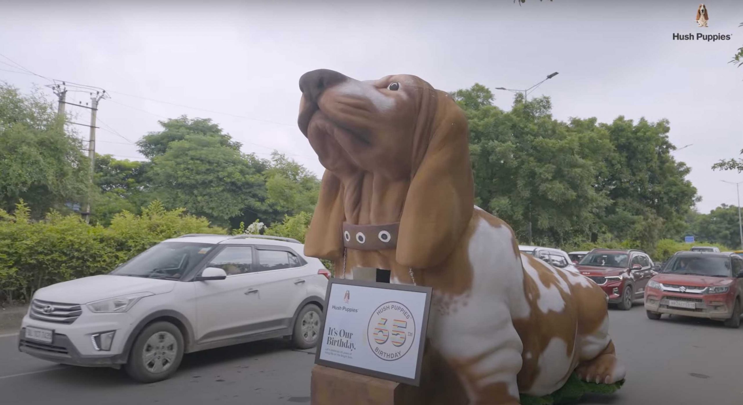 Hush Puppies Basset Hound roams the streets of Gurugram