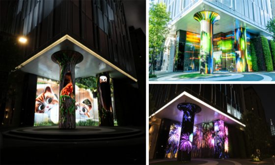 Tiger Party's successful landmark LED installation in Taiwan | Media4Growth